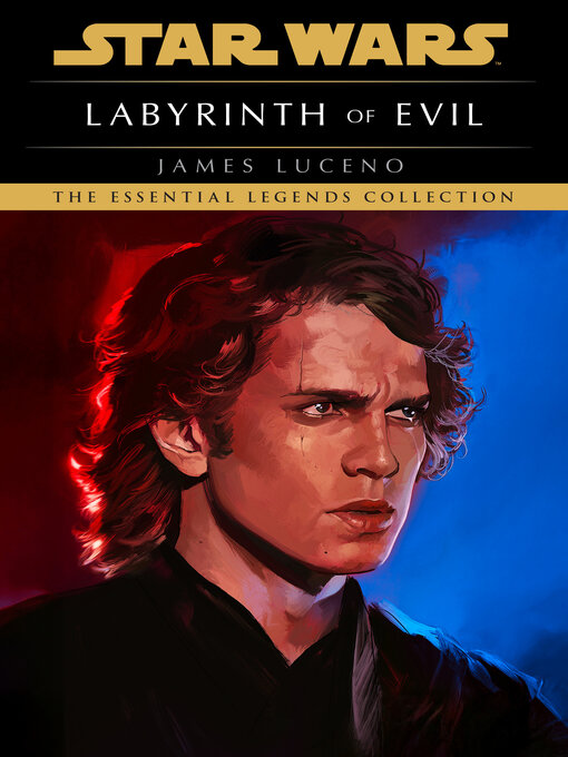 Cover image for Labyrinth of Evil